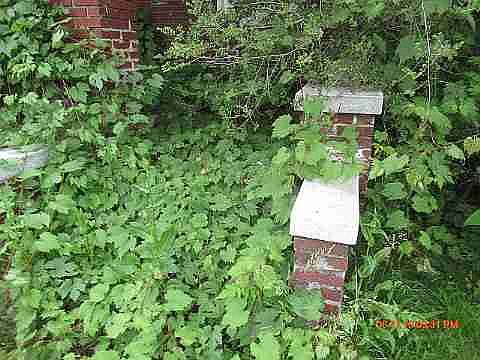 11743 Griggs