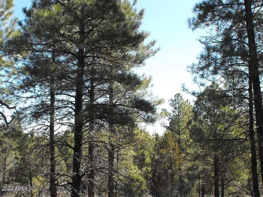 4435 Twin Oaks Loop LOT 61, Happy Jack, AZ 86024 Zillow