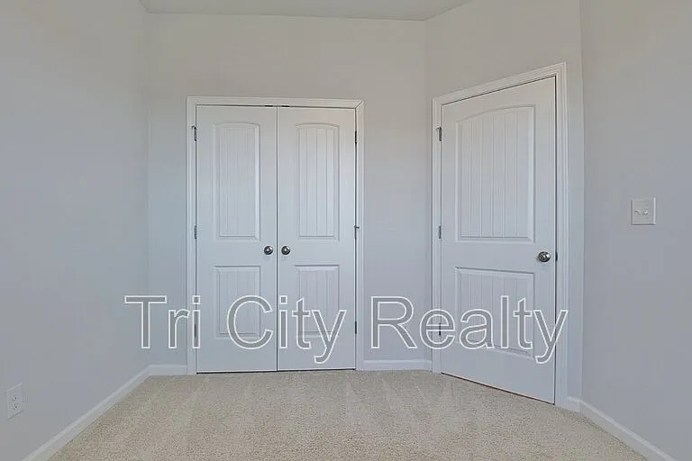 250 Cobalt Dr — Photo 48