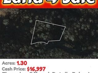 0 Eagle Dr #460, Maggie Valley, NC 28751