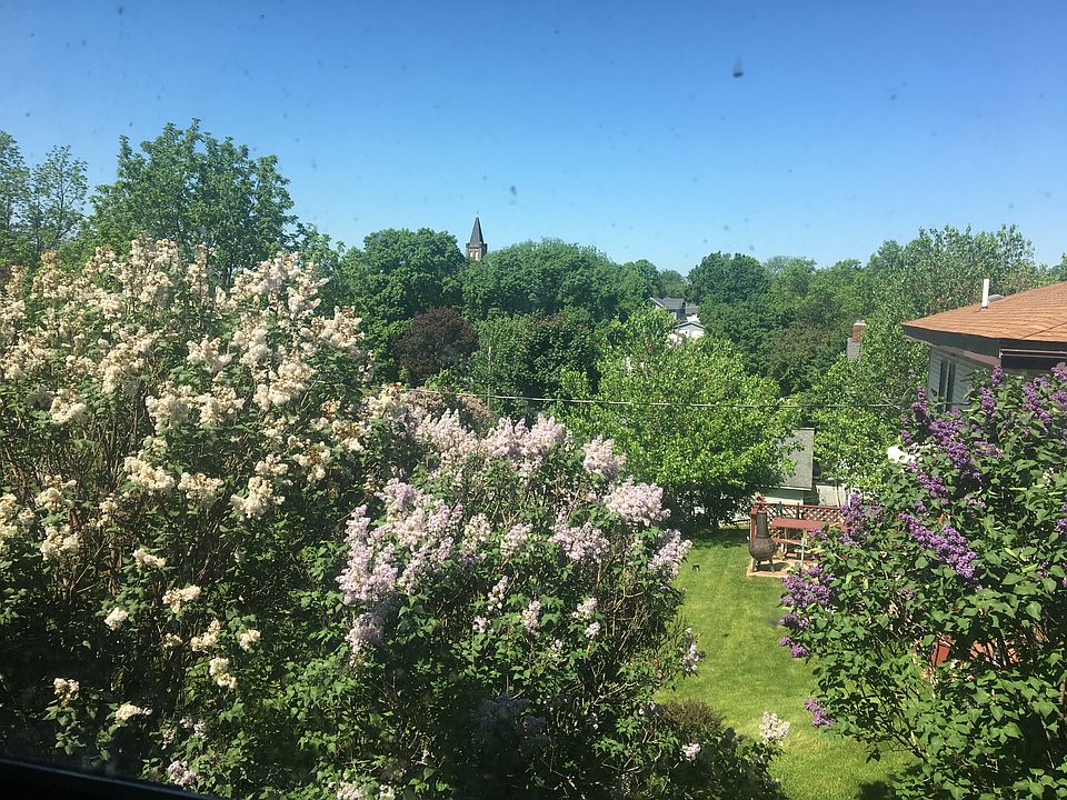 View from kitchen window
