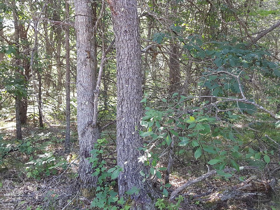 1st image of 639 W Rose Meadow Dr
