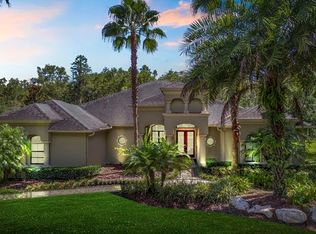 416 Pine Bluff Dr, Lutz, FL 33549