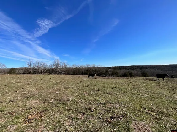 594 County Road 873, Thornfield, MO 65762