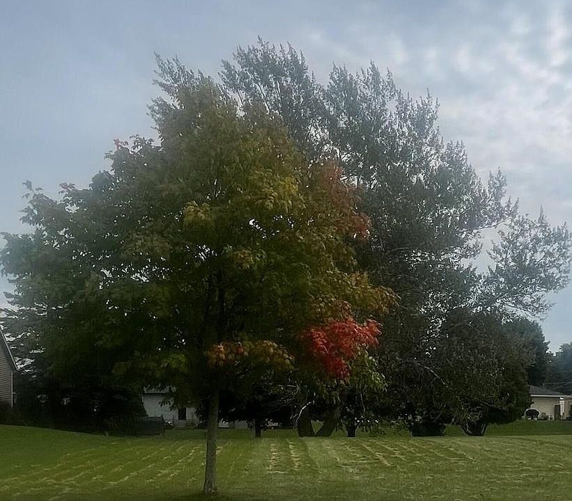 1st image of Lt9 STONEY CREEK LANE