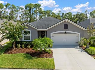13223 Baby Belle Dr, Riverview, FL 33579