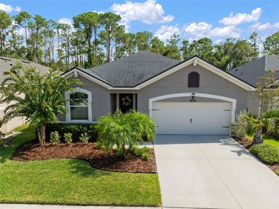 13223 Baby Belle Dr, Riverview, FL, 33579