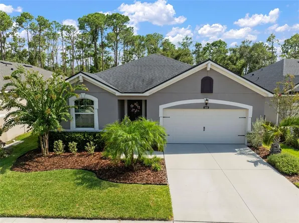 13223 Baby Belle Dr, Riverview, FL 33579