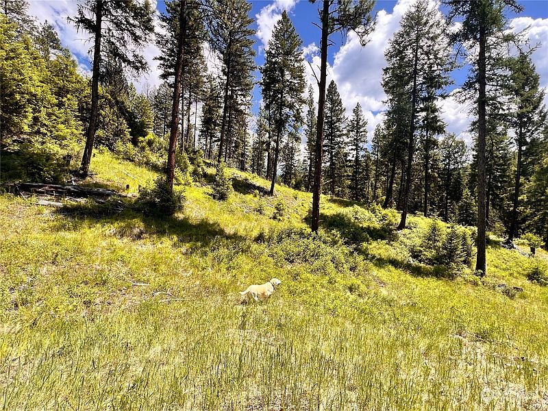 3rd image of 0 TBD Old Kettle Falls Road