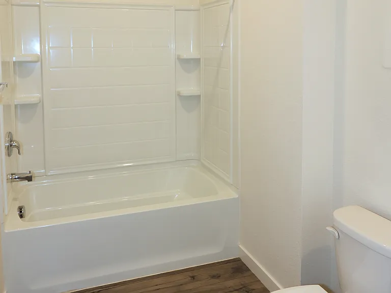Second / guest bathroom tub and shower