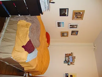 Rented by Mark David