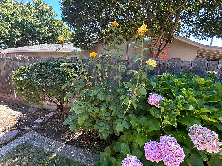 357 Birchwood Ct — Photo 51