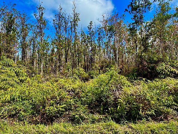 4th image of 11-2470 Makoa Rd Lot 60