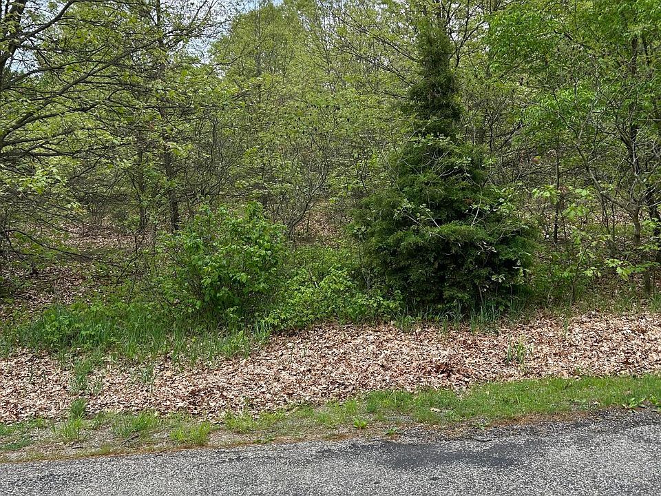 2nd image of Pine Tree Lane Lot 16