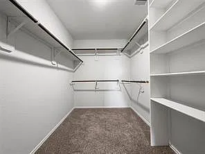 4514 Mondial Dr — Photo 11