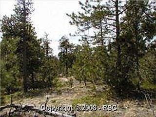 2nd image of 10855 S Holmes Rd
