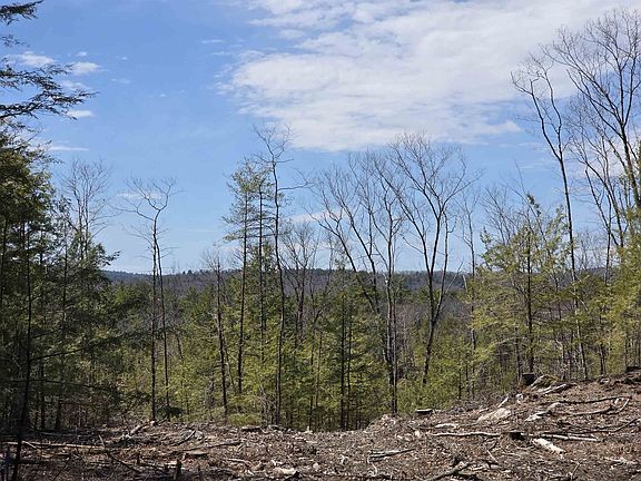 3rd image of Map 417 Lot 51 Shannon Road