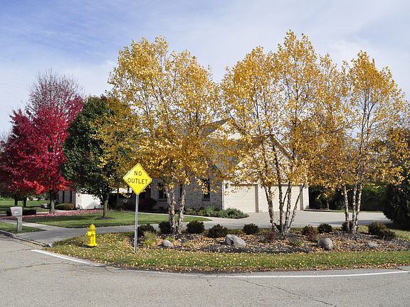 5th image of 1720 Mulberry Woods Ct
