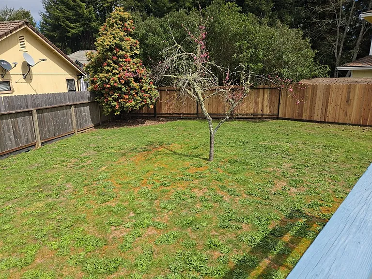 2149 Woodcrest Ct — Photo 5
