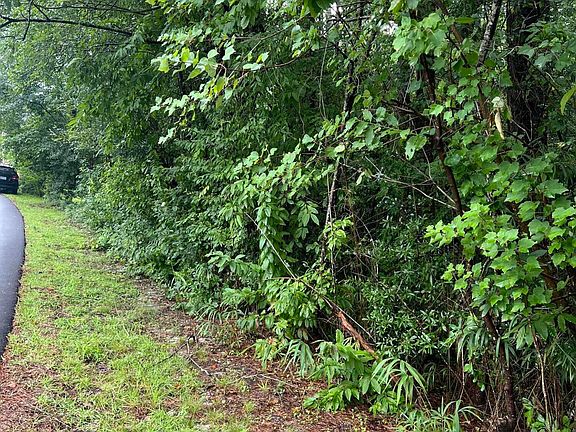 5th image of 75 Lake View Dr E Lot 119