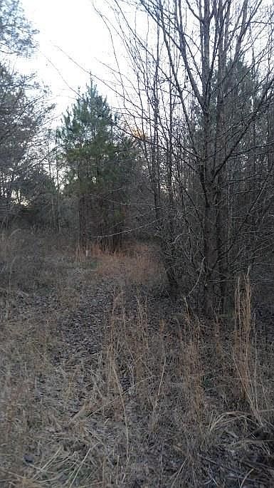 2nd image of 1776 Lake Lucerne Rd SW Lot Na