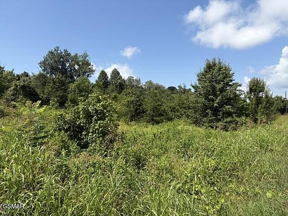 4th image of 615 Green Hill Rd Lot 2R