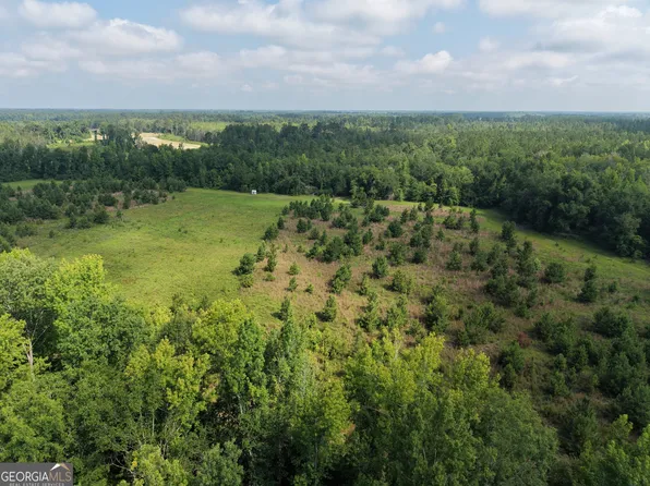 0 Highway 17, Midville, GA 30441
