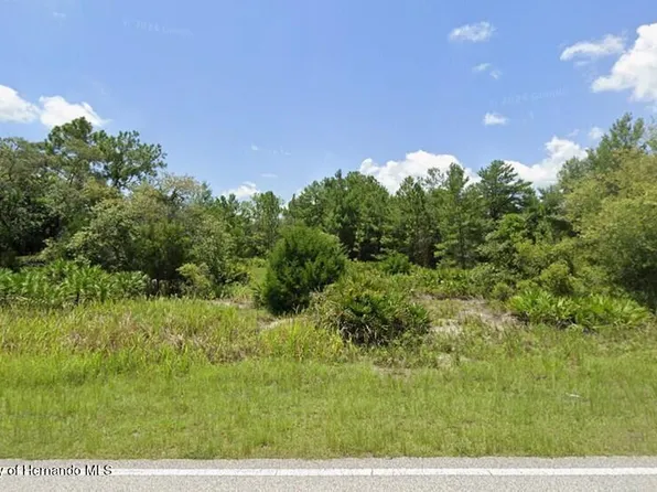 10312 Fulton Ave, Brooksville, FL 34613