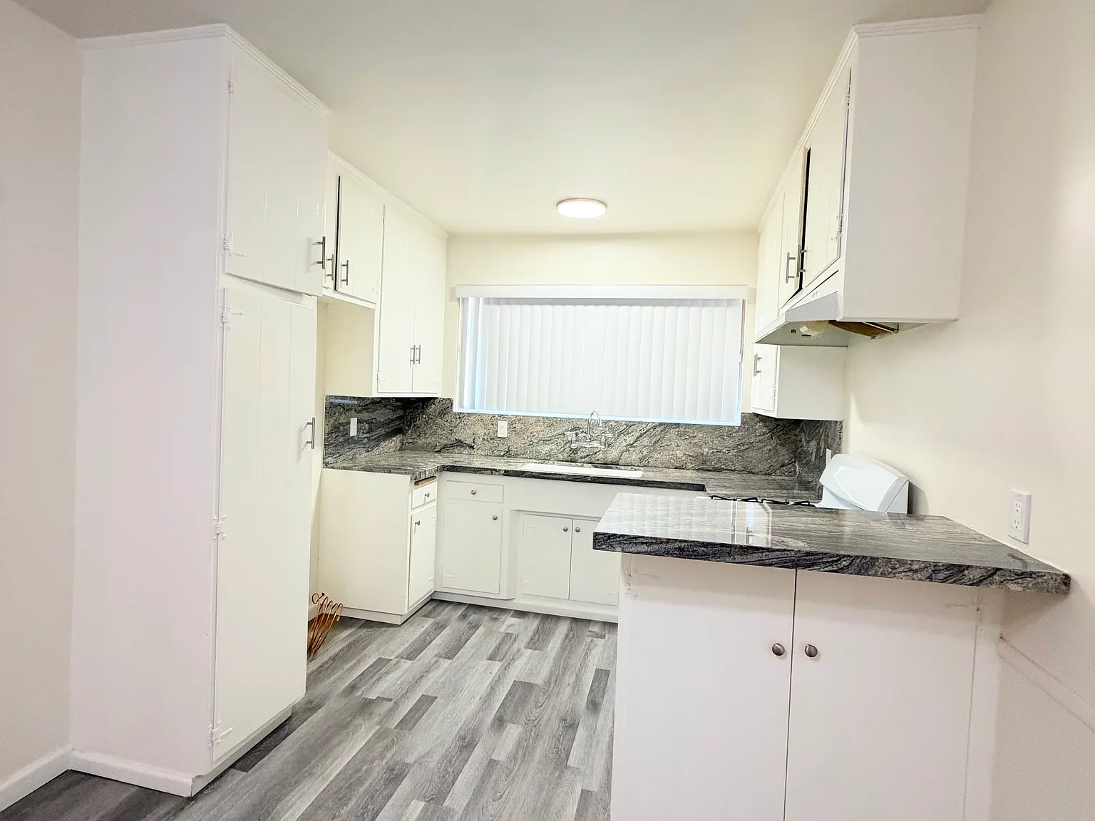 1 bed, 750 sqft, $2,000 — Photo 3
