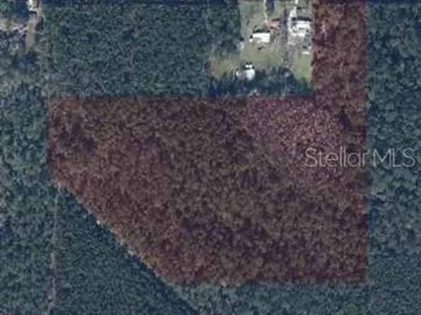 NE 108th Pl, Waldo, FL 32694