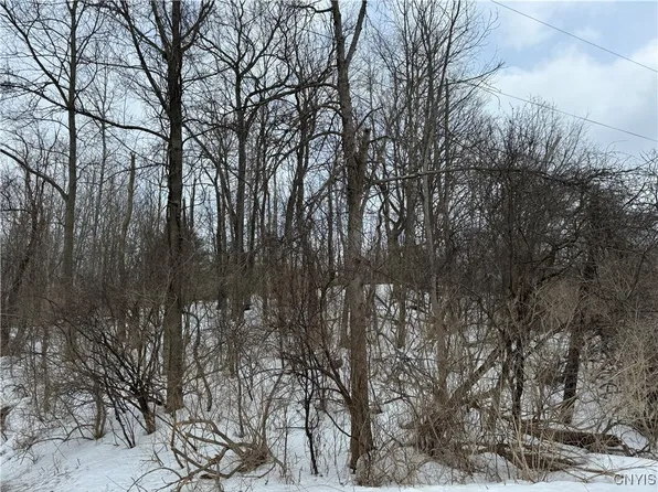 Route 12 #B, Madison, NY 13402