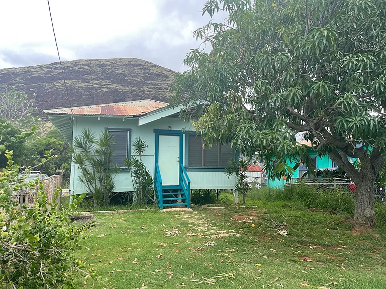 Exterior 3 Mango Tree