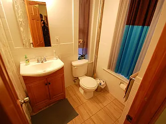 Rented by Bold New York