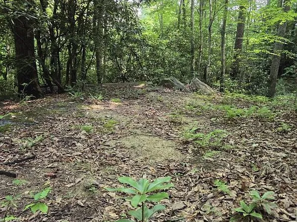 LOT 1 Holiday Dr, Hendersonville, NC 28792