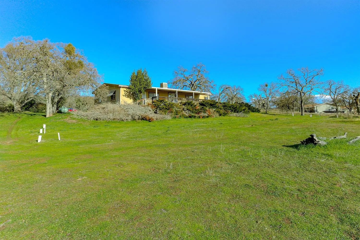 2336 Pepito Dr photo 1