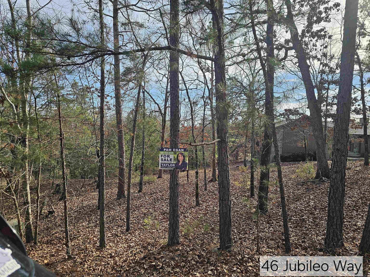 46 Jubileo Way
