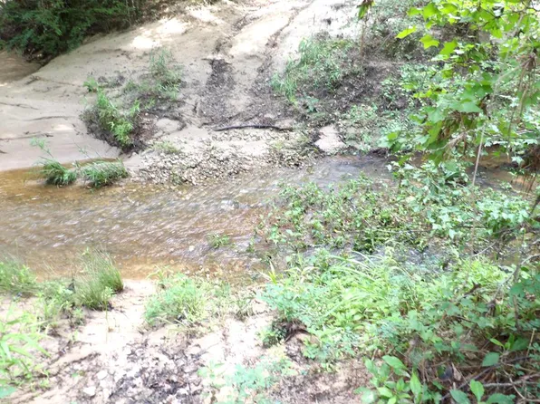 Fm 536, Kennard, TX 75847