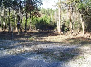 4463 Witch Hazel Rd, Middleburg, FL 32068