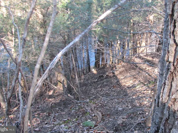0 Pine Cir, Amissville, VA 20106