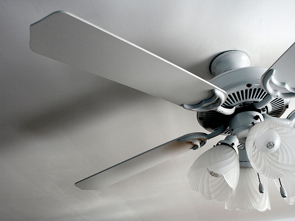 Ceiling Fans Throughout
