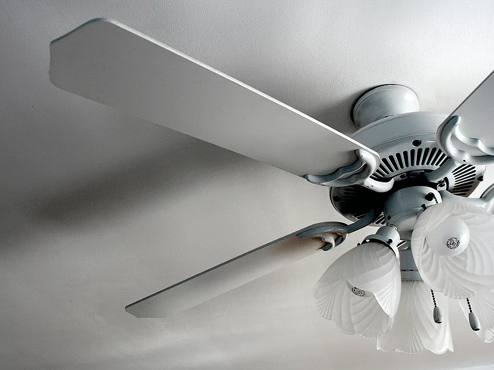 Ceiling Fans Throughout
