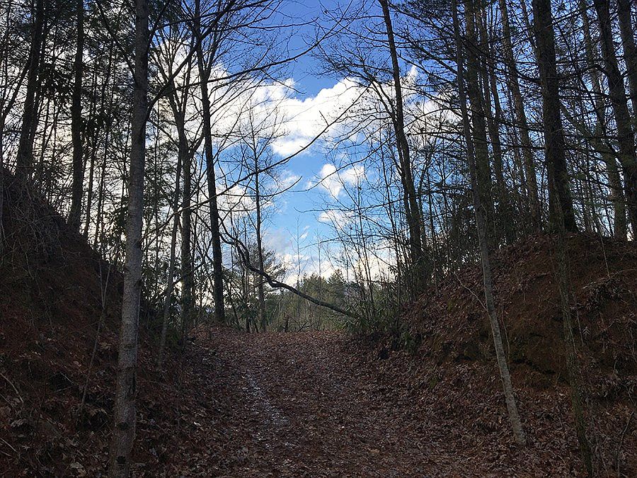 2nd image of 556 Luther Bingham Rd