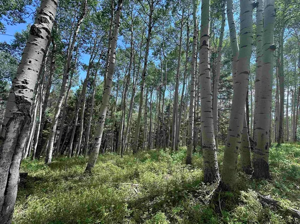 583 Crest Dr, Cimarron, CO 81220