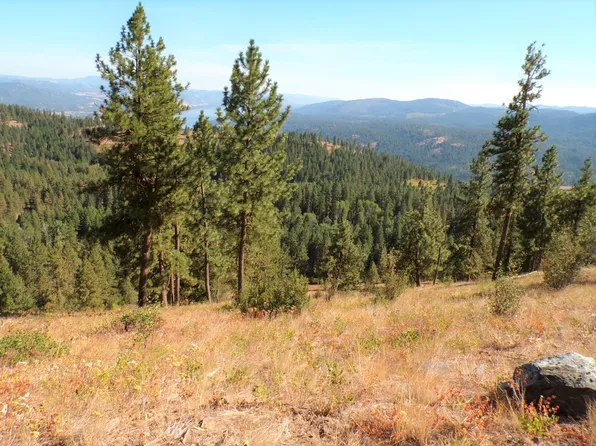 4XX Interstate Hwy S, Inchelium, WA 99138