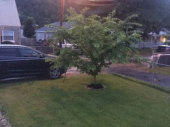 4th image of 13538 Nancy Ave