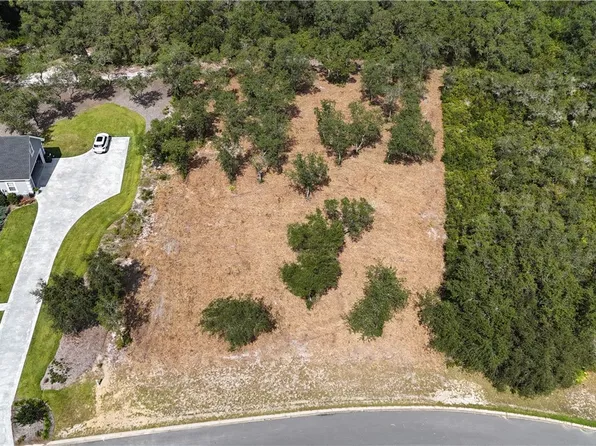 122 Satilla Bluffs Dr, Blackshear, GA 31516