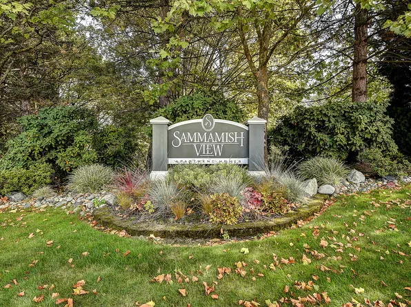 Sammamish View