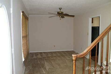 Spring Morning Dining Room View