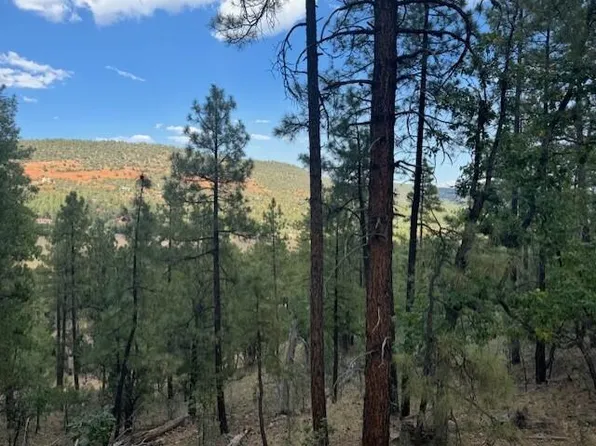0 W Juniper Rd, Pine, AZ 85544