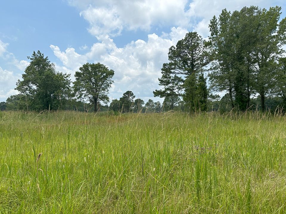 Dove Field